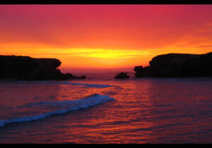 Penguin Island Sunset