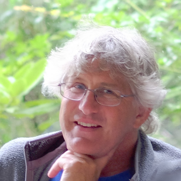 Headshot image of LAURENSON, Laurie
