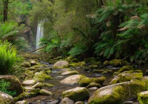 Waterfall